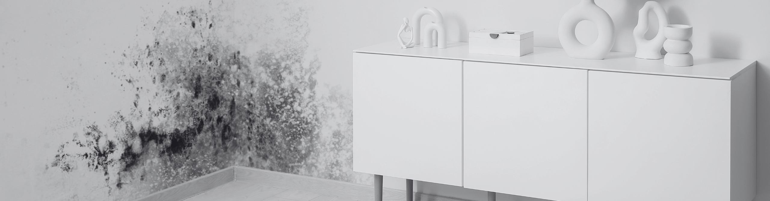 Schimmelbefall Header image