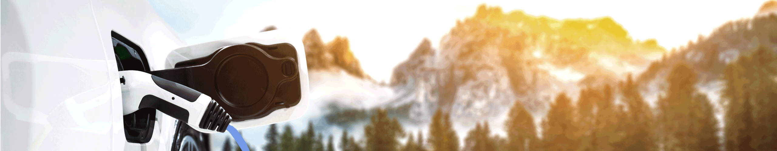 VAV E-Autoversicherung Header image