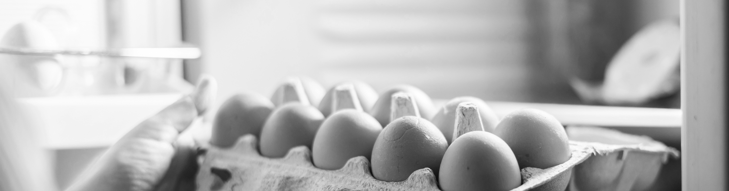 Kühlschrankmythen Header image