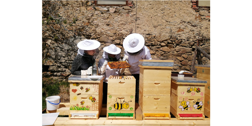 Bienenstock Kinder