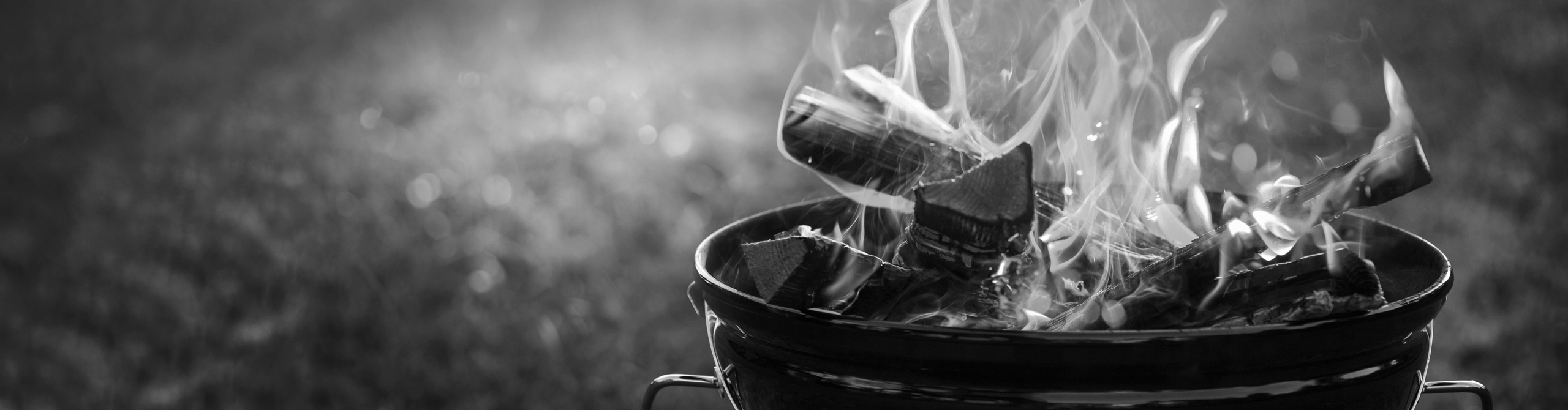 Grillen Header image