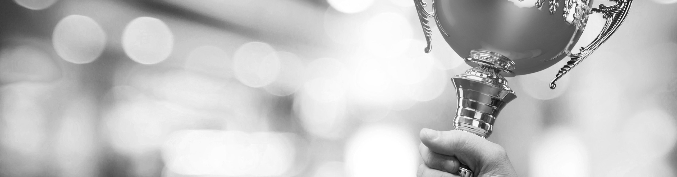 Auszeichnungen.jpg Header image